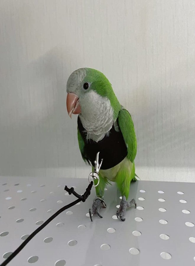 Barn Eleven Bird Flight Harness Vest, Parrot Flight Suit with Leash for Parakeets Cockatiels Conures Budgies, Bird Flying Clothes with Rope and Handle for Outdoor Activities Training, Anti Bite (Small) - Image 4